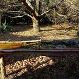 photo 2021-10-25 15-45-14