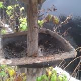 photo 2019-12-02 09-38-36