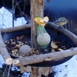 photo 2019-01-14 12-46-39