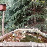 photo 2023-10-09 11-38-56