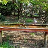 photo 2021-04-25 07-49-13