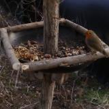 photo 2019-01-04 14-14-25