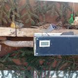 photo 2021-02-12 09-45-55