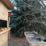 photo 2021-12-22 09-41-12