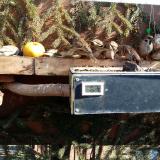 photo 2021-02-15 11-39-37