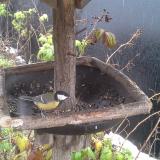 photo 2019-12-02 11-28-59