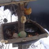 photo 2019-01-28 07-54-07