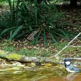 photo 2021-05-13 12-39-44 madarkak