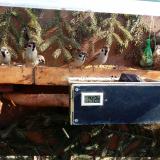 photo 2021-02-18 11-19-24