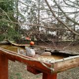 photo 2022-03-17 10-12-01