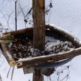 photo 2019-01-09 08-26-21