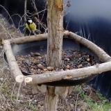 photo 2019-01-03 13-31-46