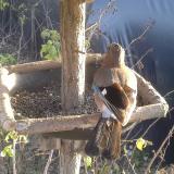 photo 2019-12-17 14-19-11