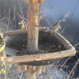 photo 2019-12-30 13-04-31