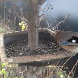 photo 2019-12-25 09-23-16