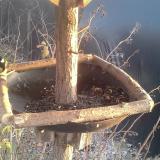 photo 2019-12-31 15-16-45