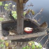 photo 2019-12-06 12-41-30