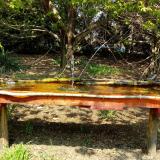 photo 2021-04-21 12-51-23