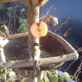 photo 2019-12-03 14-32-57