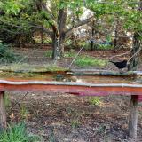 photo 2021-04-25 06-42-04