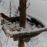 photo 2019-01-05 13-06-02