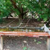 photo 2021-08-06 15-59-34