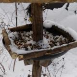 photo 2019-01-06 10-28-49