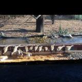 photo 2021-11-24 12-33-11