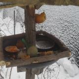 photo 2019-01-25 09-10-02