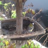 photo 2019-12-02 10-31-45