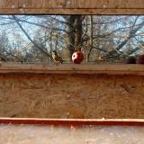 photo 2022-01-14 13-41-53