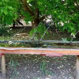 photo 2021-05-26 14-35-24