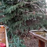 photo 2021-11-12 15-52-54