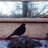 photo 2022-01-21 07-12-07