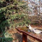 photo 2021-11-14 13-25-13