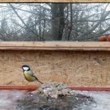 photo 2022-01-20 10-00-00