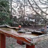 photo 2022-03-05 06-49-24