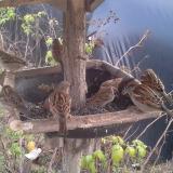 photo 2019-12-13 12-53-24