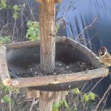 photo 2019-12-16 13-11-21