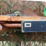 photo 2021-03-04 10-10-18