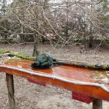 photo 2021-03-24 08-43-36