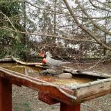 photo 2022-03-17 14-33-35