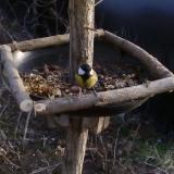 photo 2019-01-04 14-45-14