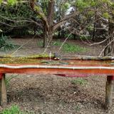 photo 2021-04-13 08-21-59