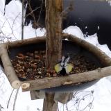 photo 2019-01-08 10-25-22