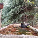 photo 2023-10-10 08-48-28