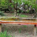 photo 2021-04-28 17-10-33