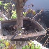 photo 2019-12-02 09-26-59