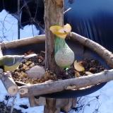 photo 2019-01-14 09-15-13