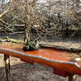 photo 2021-03-21 08-17-05